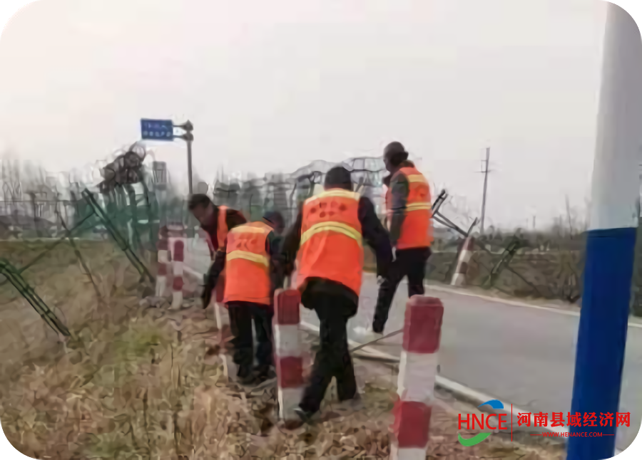 图片4 (5)
