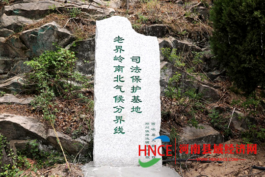 图片10