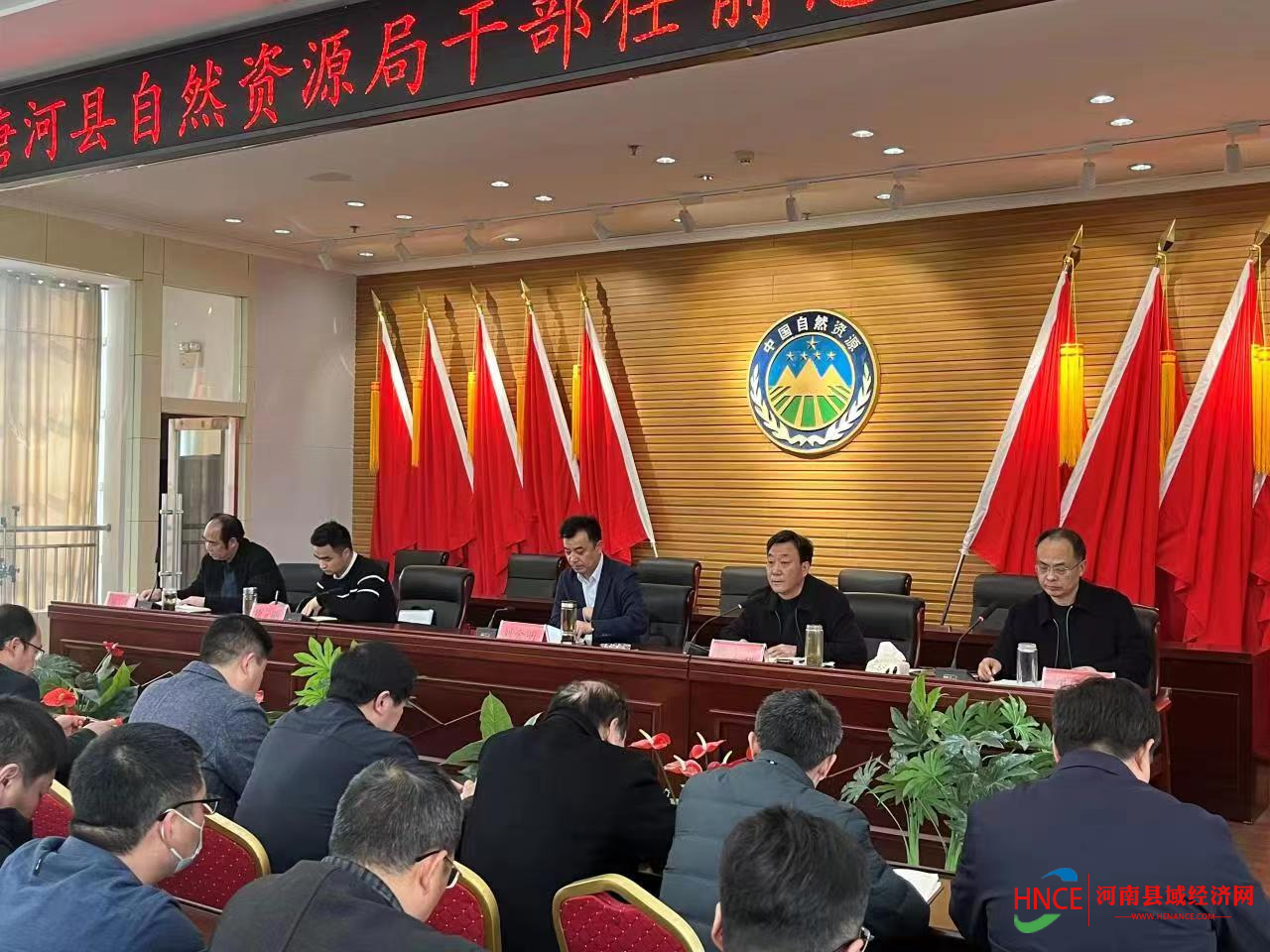 图片31