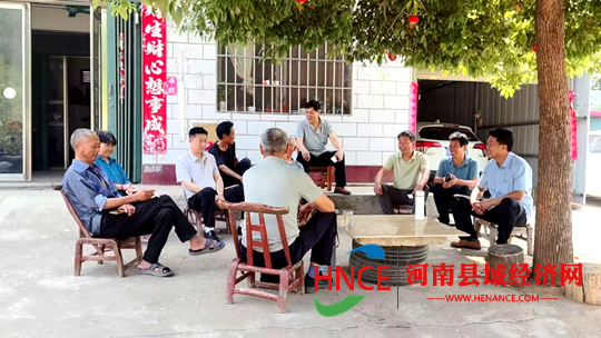 图片12