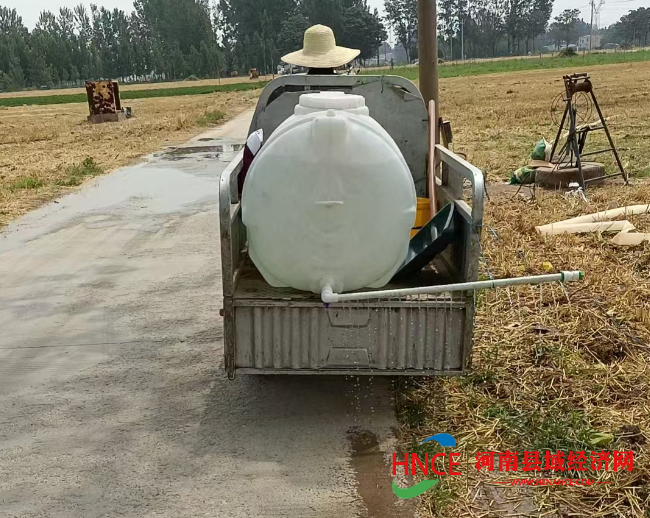 图片17