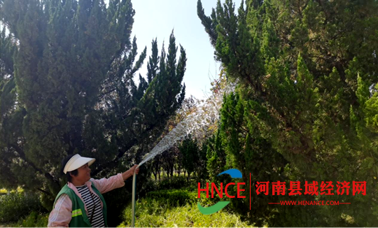 图片9